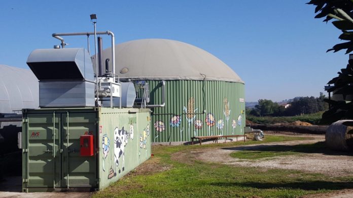 Impianto di biogas, Consorzio Italiano Biogas