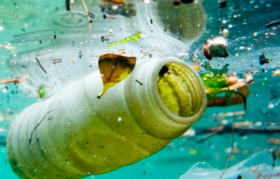 Inquinamento da plastica nei mari