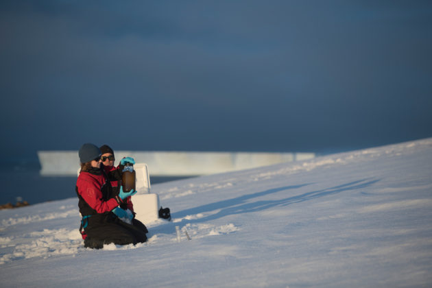 L'Antartide non è incontaminato, secondo un'indagine di Greenpeace