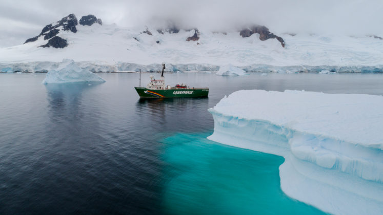 L'Antartide non è incontaminato, secondo un'indagine di Greenpeace