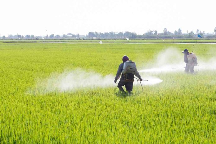Un campo trattato con pesticidi