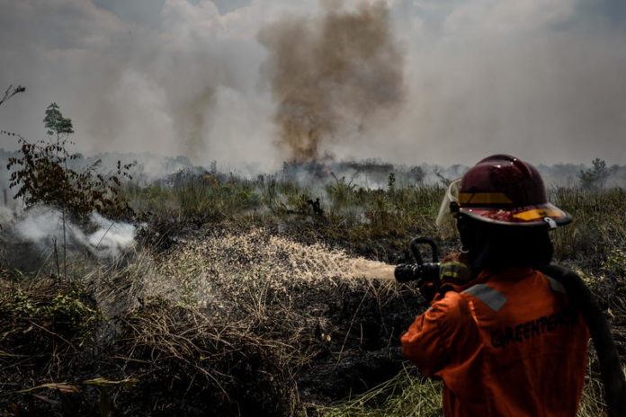 I membri del team di Greenpeace Indonesia Forest Fire Prevention (FFP) estinguono gli incendi nella piantagione e nella foresta nel sub-distretto Jekan Raya, città di Palangkaraya, Kalimantan centrale. Il governo indonesiano ha dichiarato un'emergenza statale in sei province di Sumatra e Kalimantan man mano che gli incendi boschivi in ​​Indonesia aumentano.